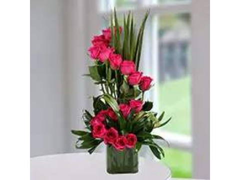 Red or Pink Vas
