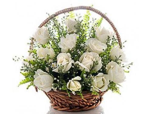 White rose in nice basket arrangement