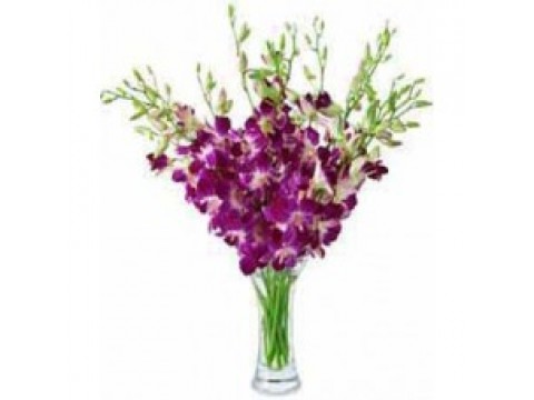 Beautiful Orchids in Glass Vas 