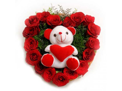 Rose and soft Toy